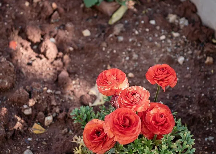 아파트 Amelia Luxury Living Mantaka 하니아